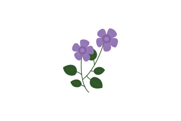 Boho Color Floral Plant Illustration-09: A Versatile and Stylish Design Choice