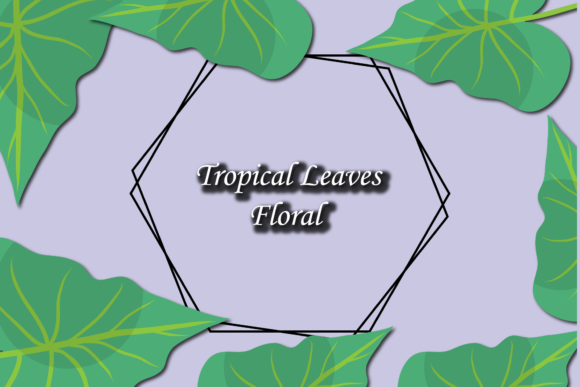 Explore Frame Tropical Floral Collection Tropic